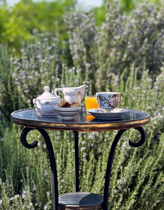 Desayuno servido en el jardín de Villa Paula, entre romero, en primavera