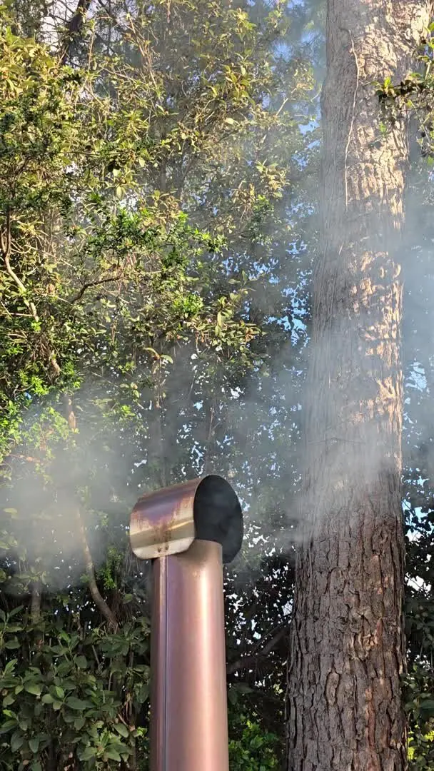 Humo de la chimenea de leña del jacuzzi exterior entre los pinos