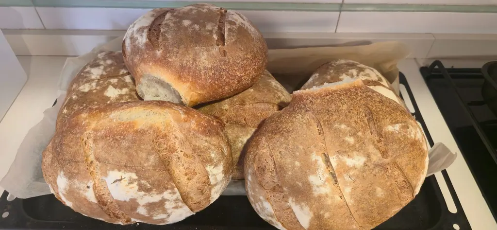 Pan recién horneado en Villa Paula, Valencia