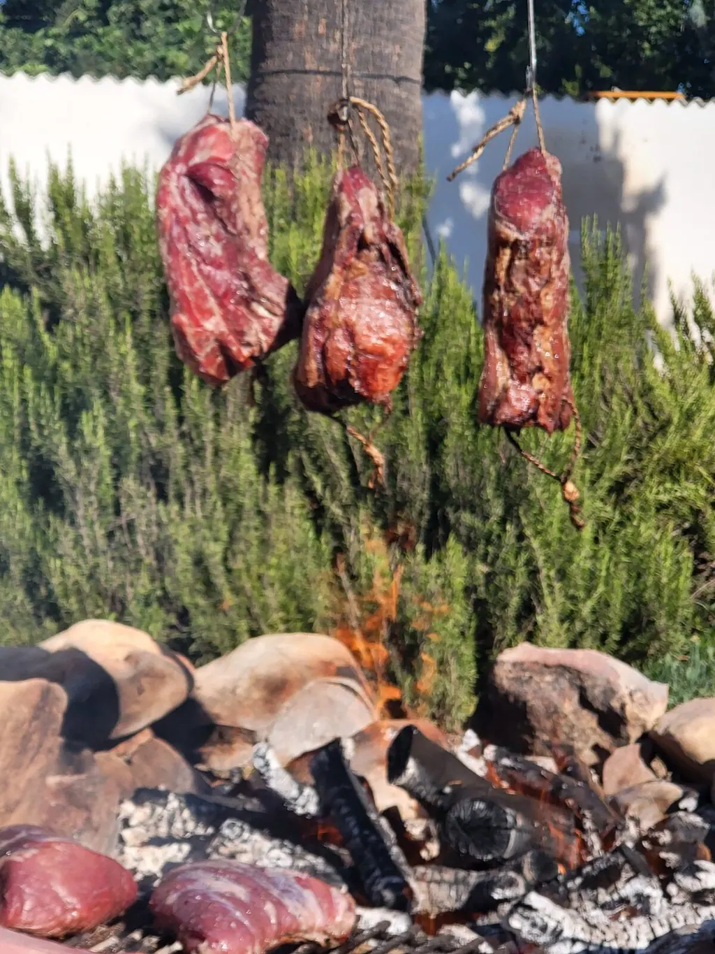 Asado y humo en el jardín de Villa Paula, Valencia