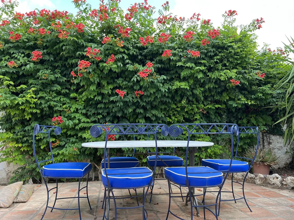 Tafel op de cactusbinnenplaats van Villa Paula