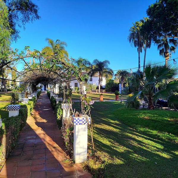 Fachada de Villa Paula entre palmeras, de d&iacute;a