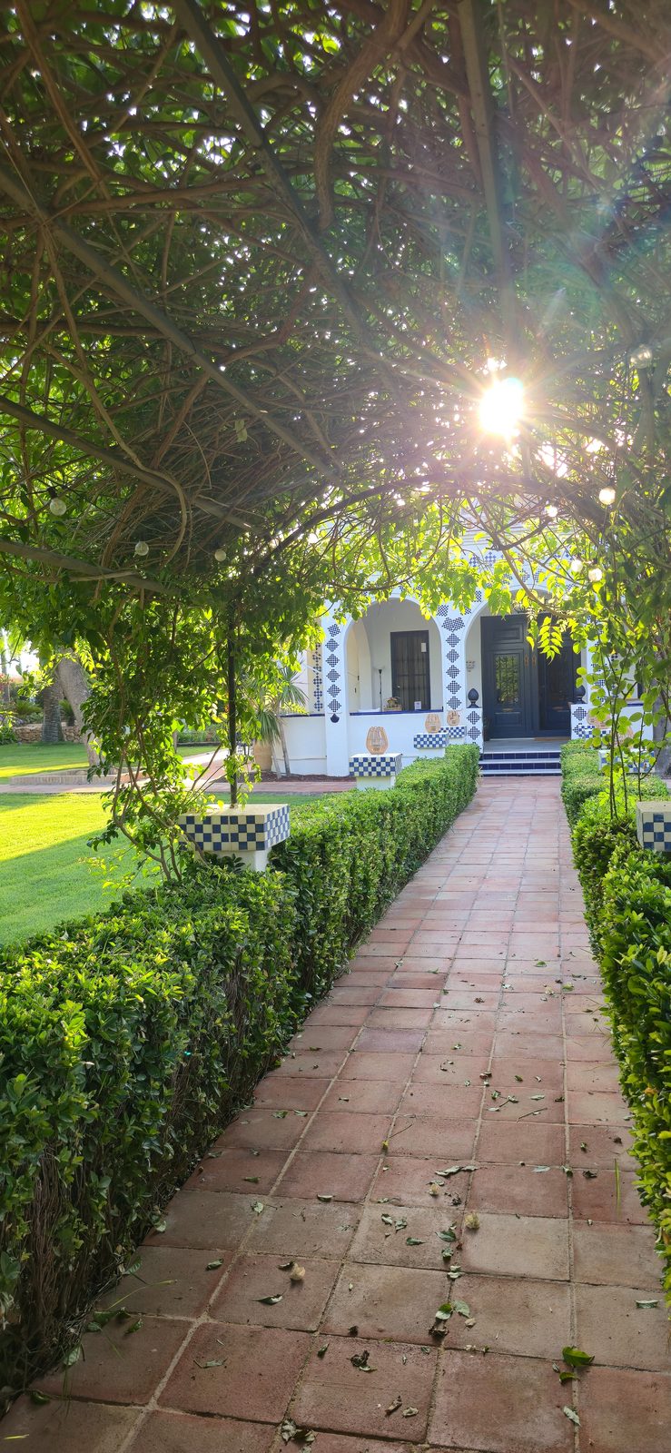 Camino de entrada desde la reja hasta Villa Paula