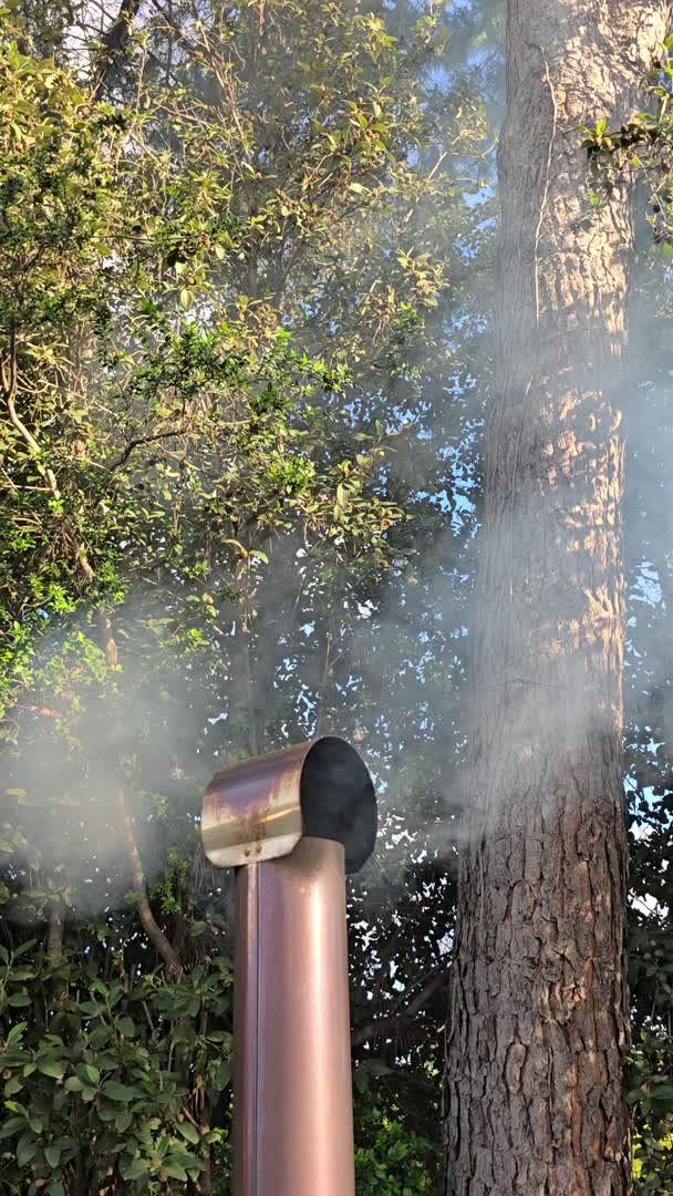 Humo de la chimenea de leña del jacuzzi exterior entre los pinos