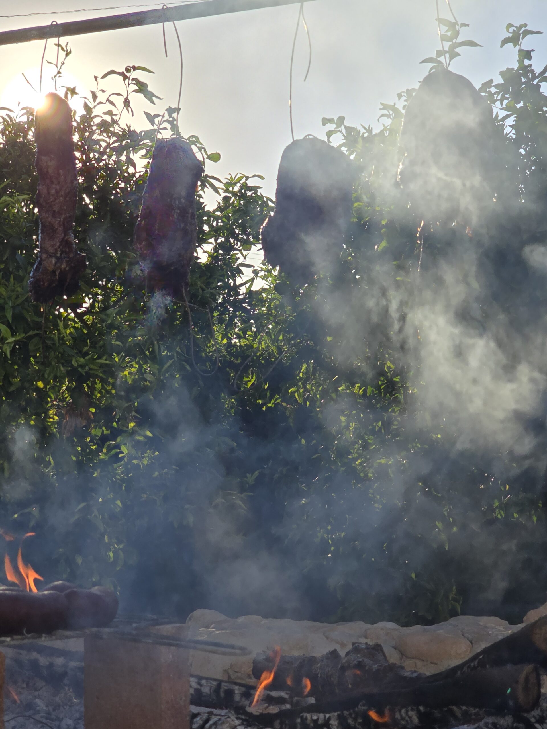 Carne ahumándose a contraluz sobre la brasa en Villa Paula, Valencia