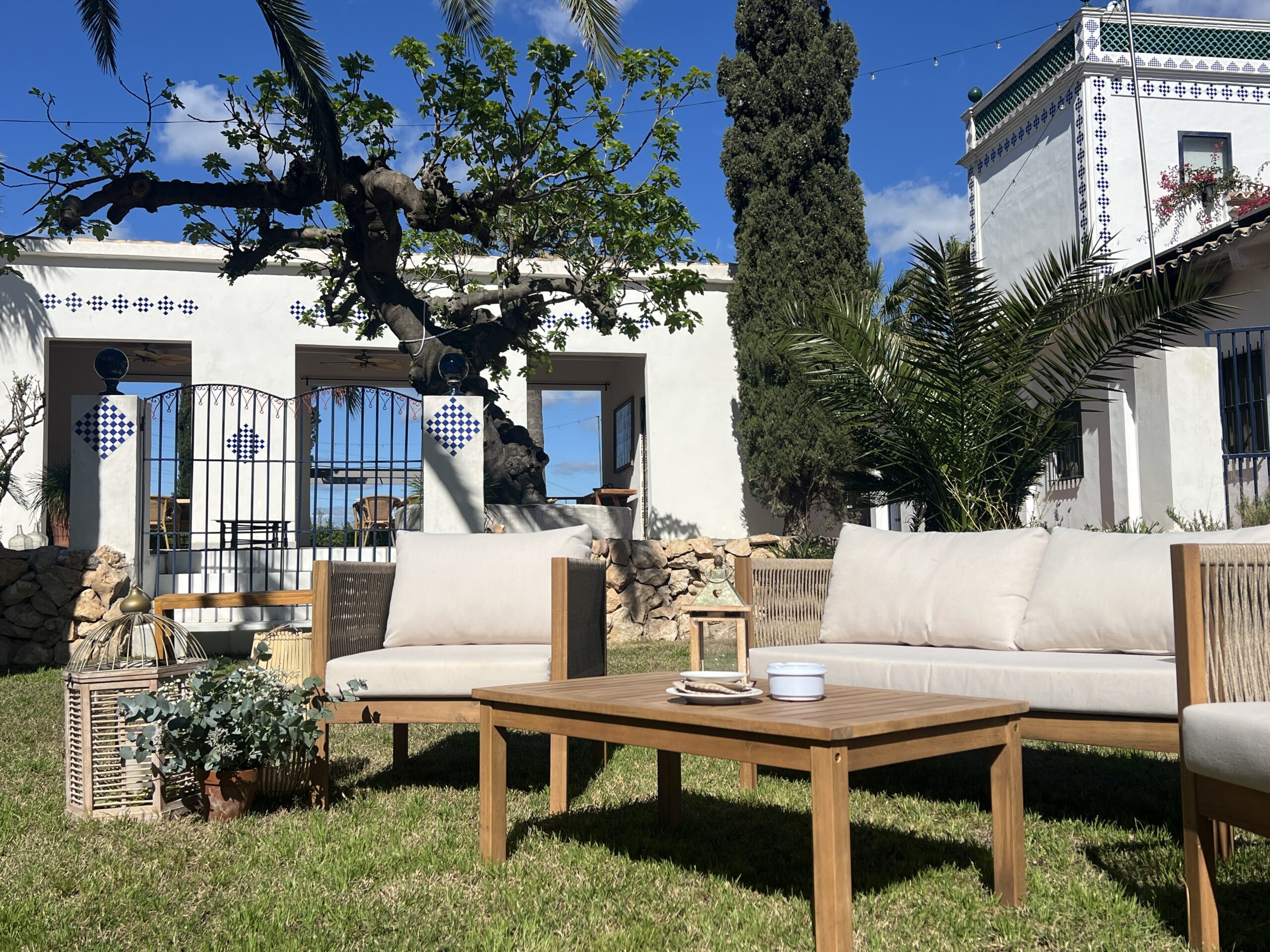 Higuera centenaria en el jardín de Villa Paula